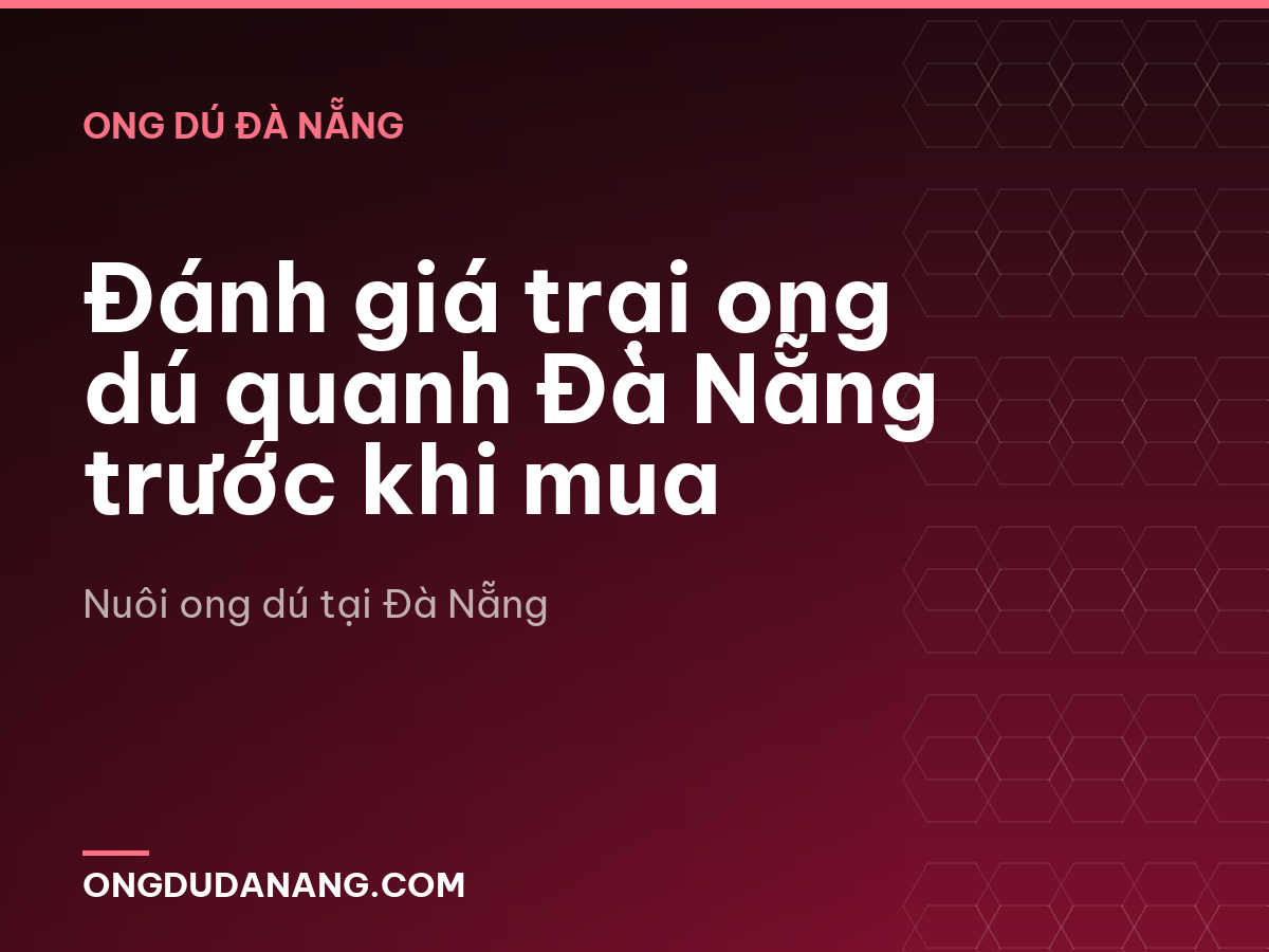 Đánh giá trại ong dú quanh Đà Nẵng trước khi mua