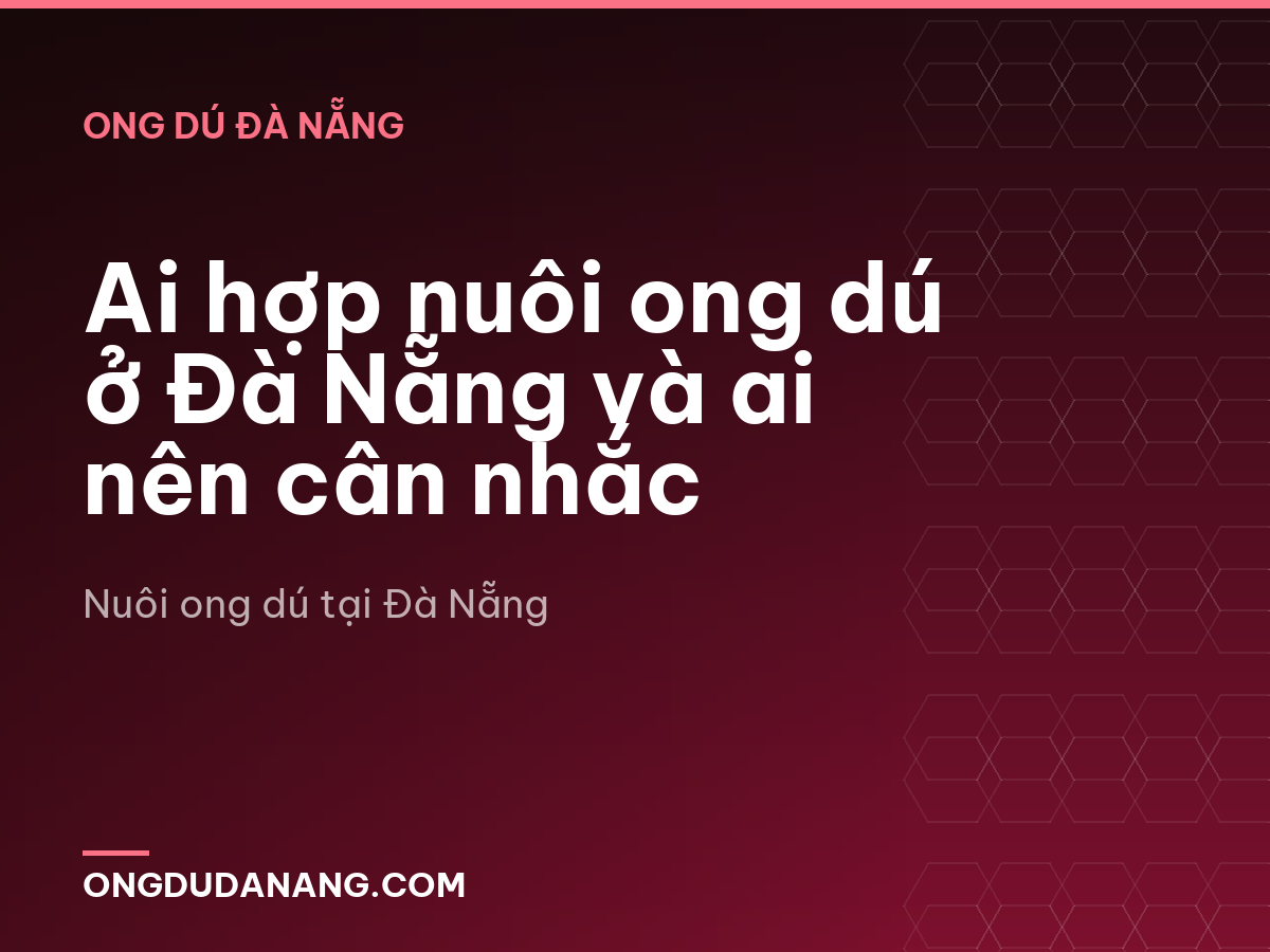 Ai hợp nuôi ong dú ở Đà Nẵng và ai nên cân nhắc