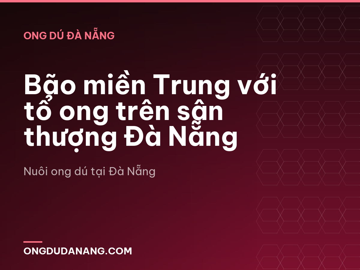 Bão miền Trung với tổ ong trên sân thượng Đà Nẵng