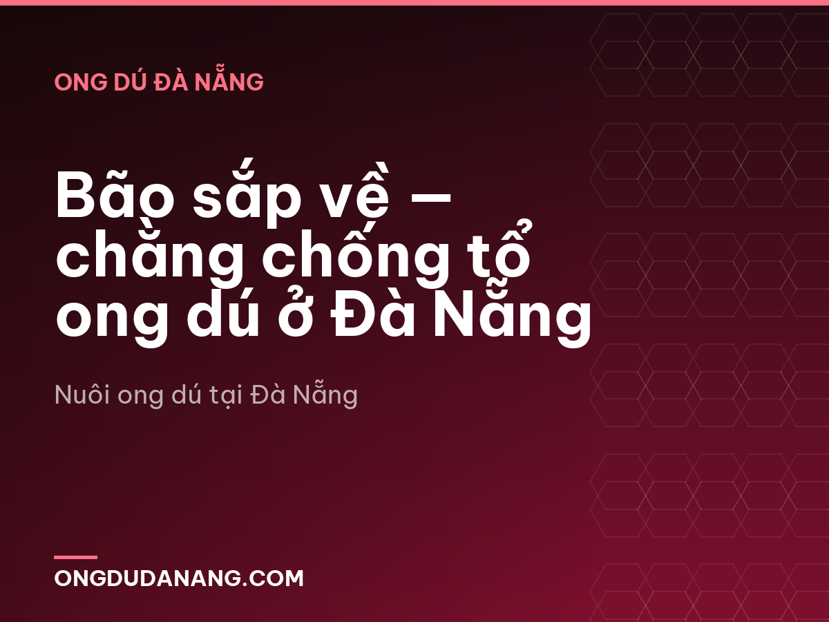 Bão sắp về — chằng chống tổ ong dú ở Đà Nẵng