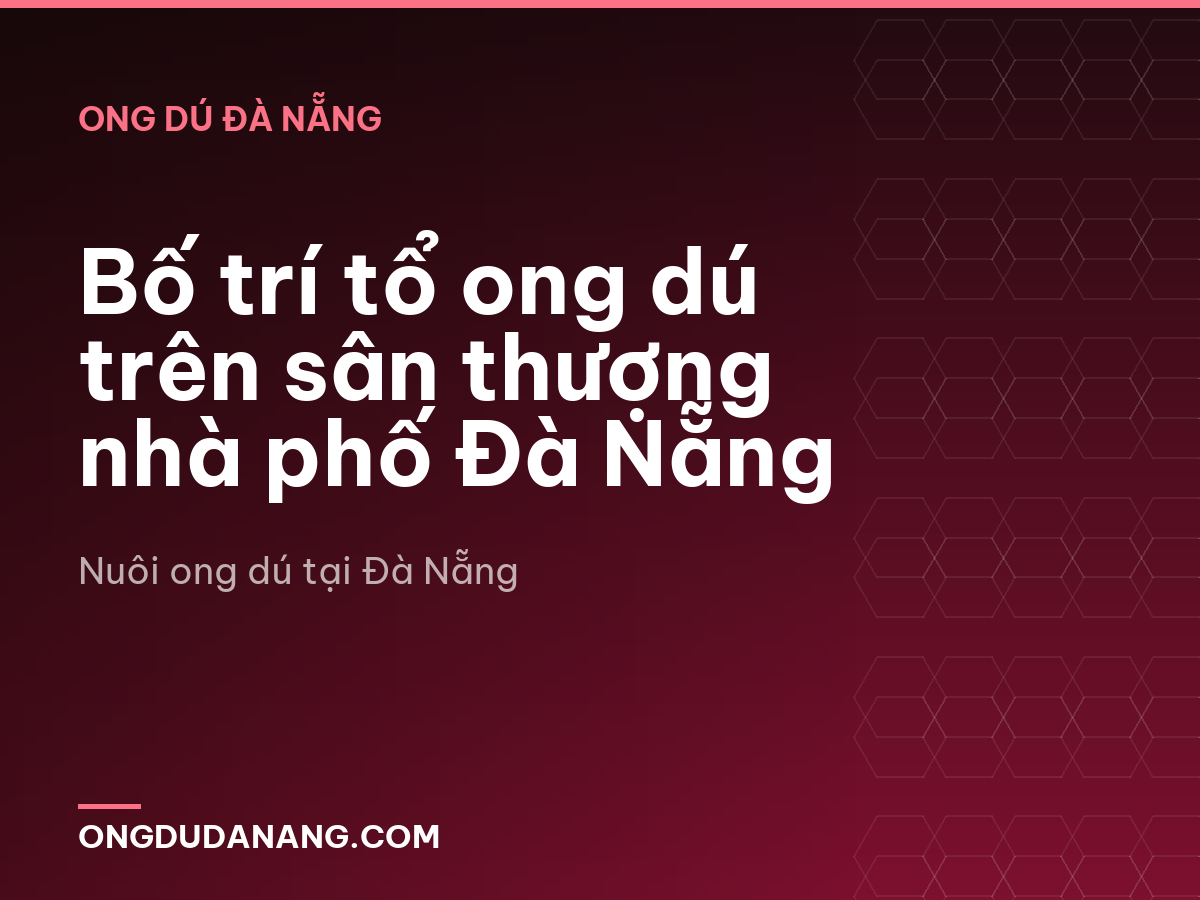 Bố trí tổ ong dú trên sân thượng nhà phố Đà Nẵng