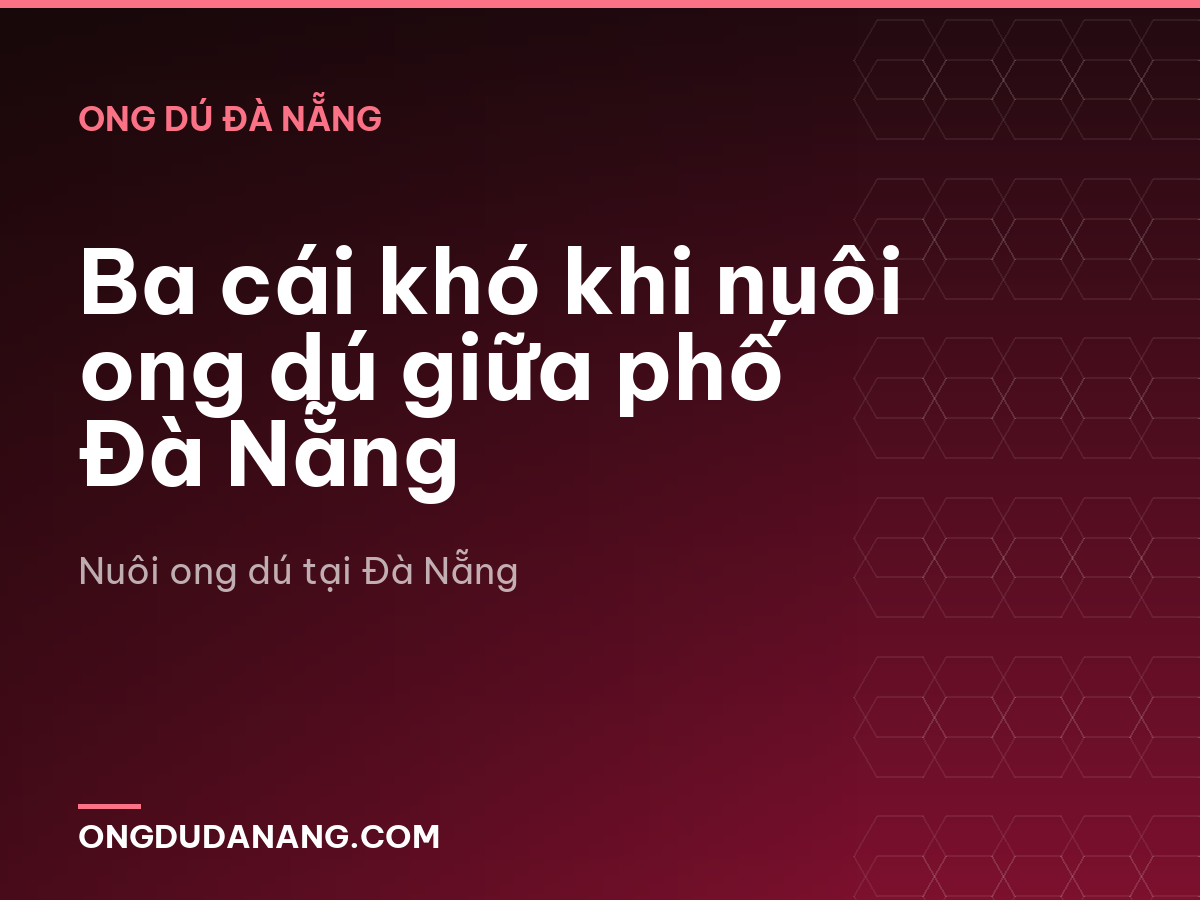Ba cái khó khi nuôi ong dú giữa phố Đà Nẵng
