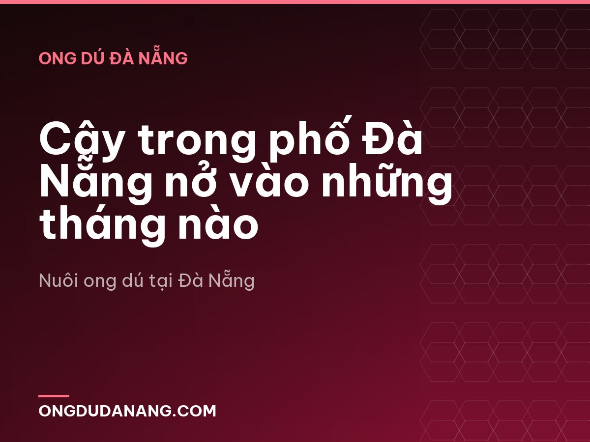 Cây trong phố Đà Nẵng nở vào những tháng nào