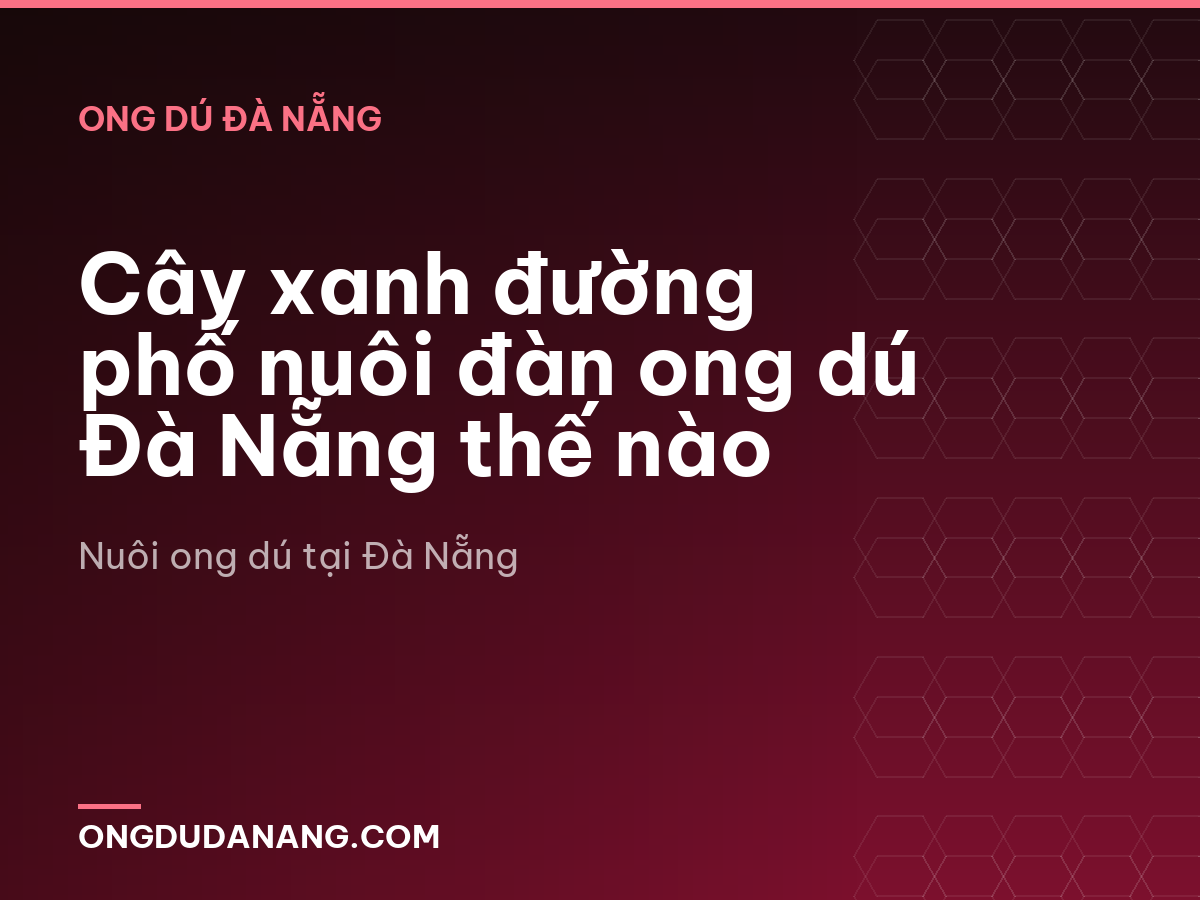 Cây xanh đường phố nuôi đàn ong dú Đà Nẵng thế nào