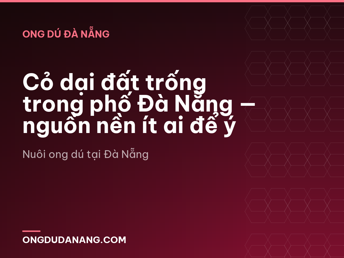 Cỏ dại đất trống trong phố Đà Nẵng — nguồn nền ít ai để ý