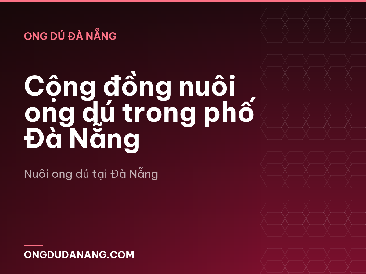 Cộng đồng nuôi ong dú trong phố Đà Nẵng