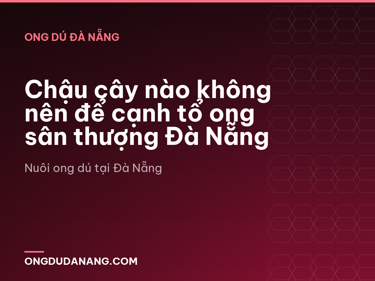 Chậu cây nào không nên để cạnh tổ ong sân thượng Đà Nẵng