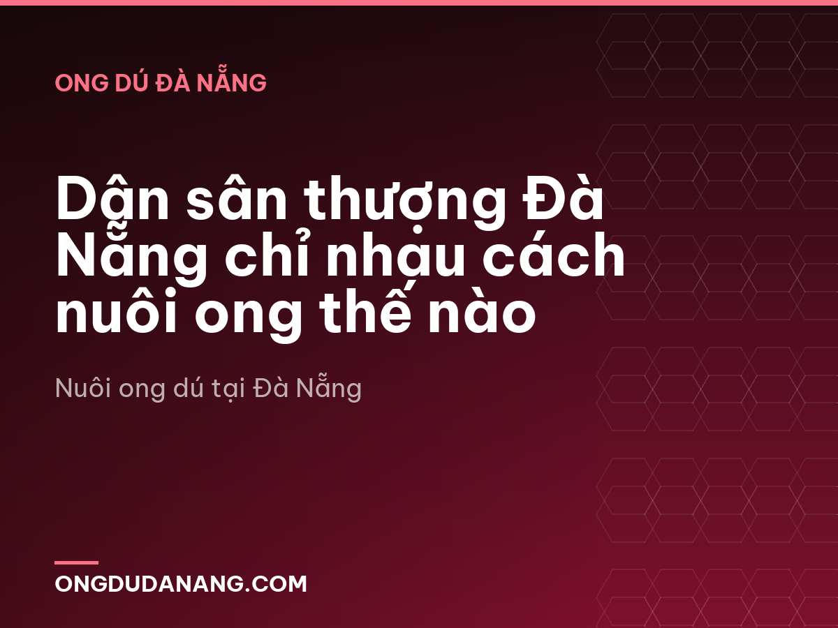 Dân sân thượng Đà Nẵng chỉ nhau cách nuôi ong thế nào