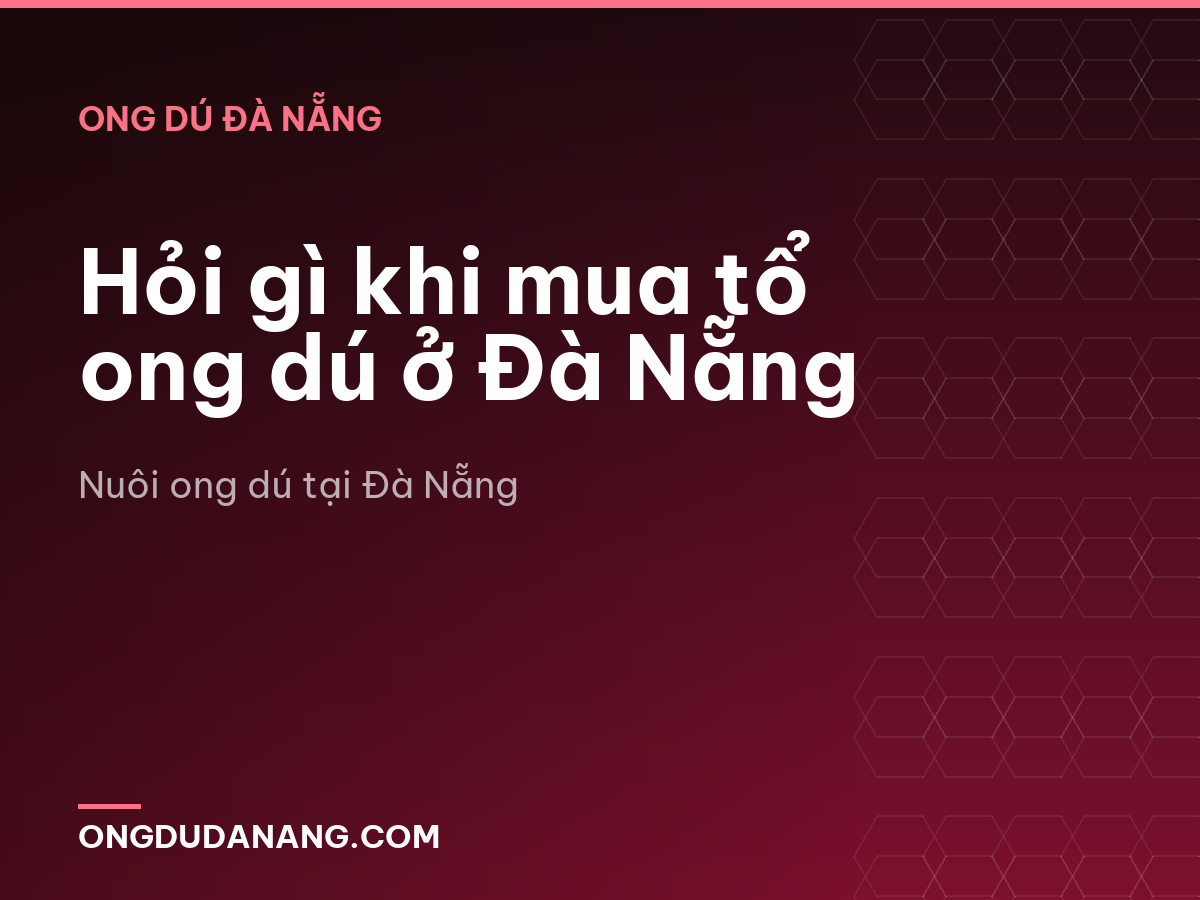 Hỏi gì khi mua tổ ong dú ở Đà Nẵng