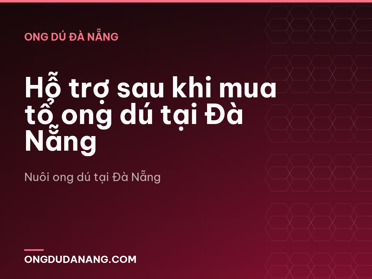 Hỗ trợ sau khi mua tổ ong dú tại Đà Nẵng