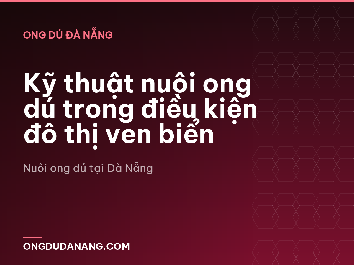 Kỹ thuật nuôi ong dú trong điều kiện đô thị ven biển
