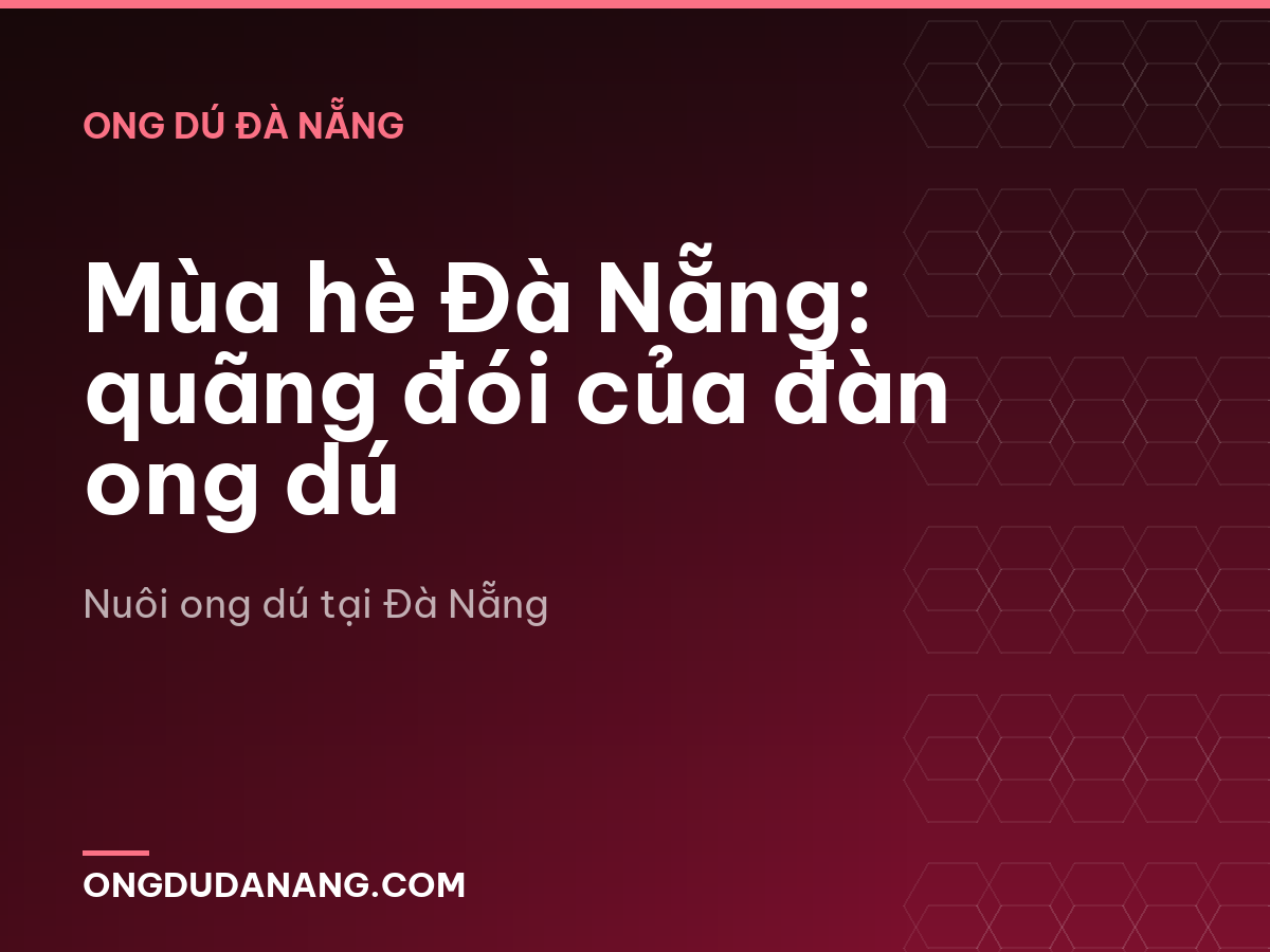 Mùa hè Đà Nẵng: quãng đói của đàn ong dú