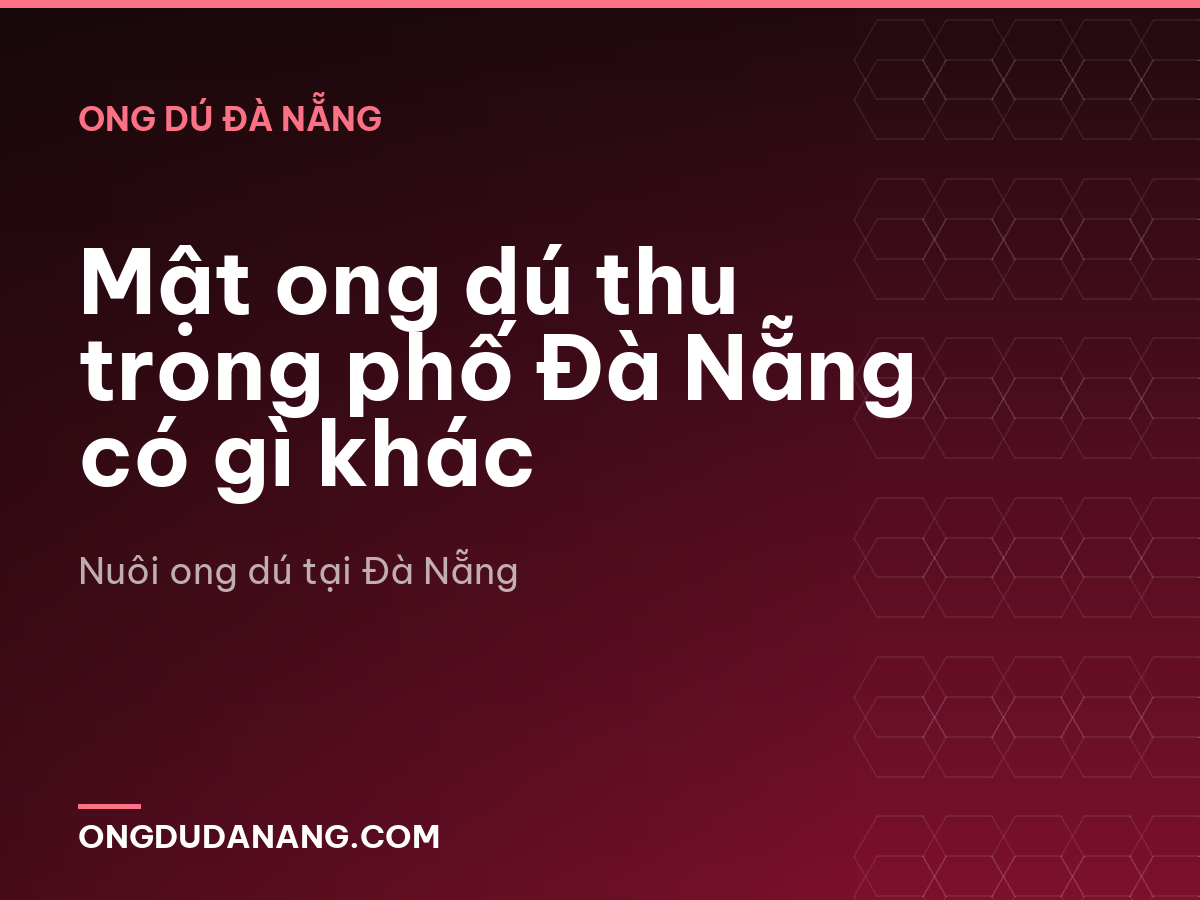 Mật ong dú thu trong phố Đà Nẵng có gì khác