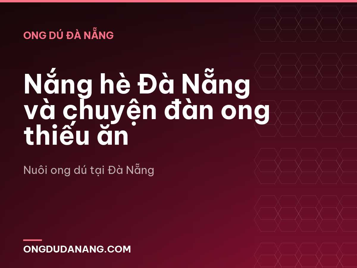 Nắng hè Đà Nẵng và chuyện đàn ong thiếu ăn