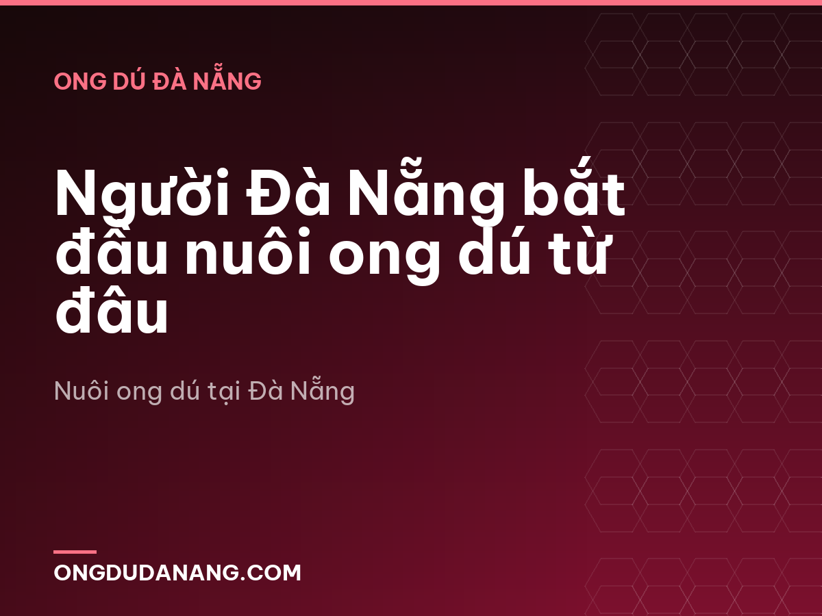 Người Đà Nẵng bắt đầu nuôi ong dú từ đâu