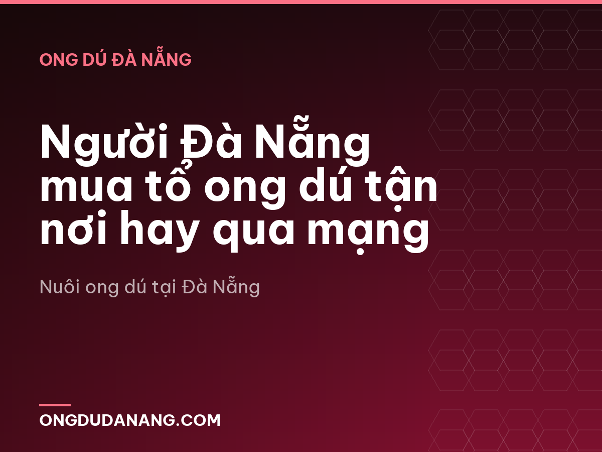 Người Đà Nẵng mua tổ ong dú tận nơi hay qua mạng