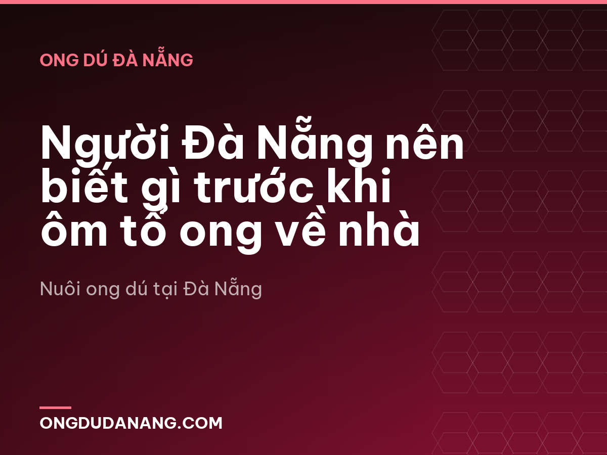 Người Đà Nẵng nên biết gì trước khi ôm tổ ong về nhà