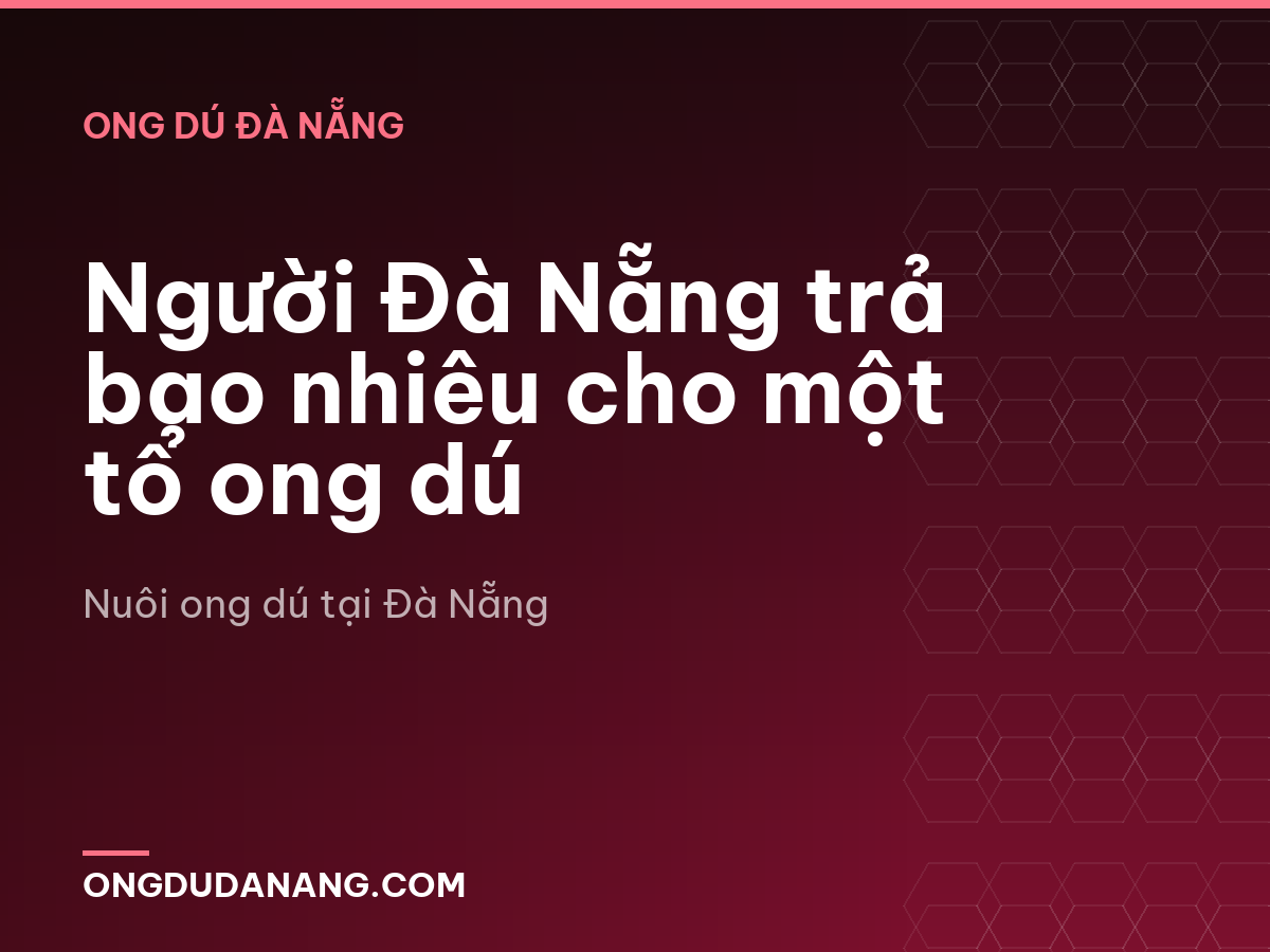 Người Đà Nẵng trả bao nhiêu cho một tổ ong dú
