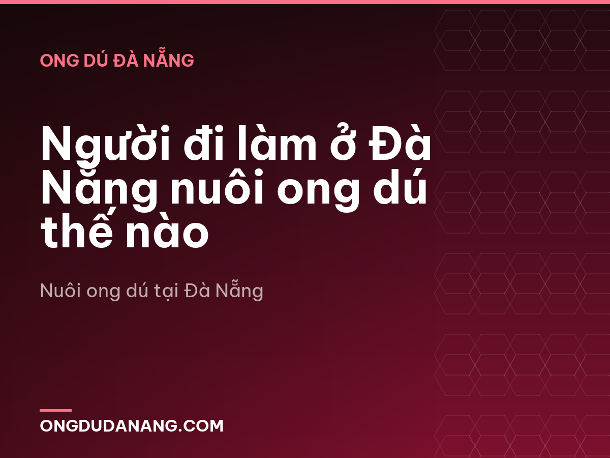 Người đi làm ở Đà Nẵng nuôi ong dú thế nào