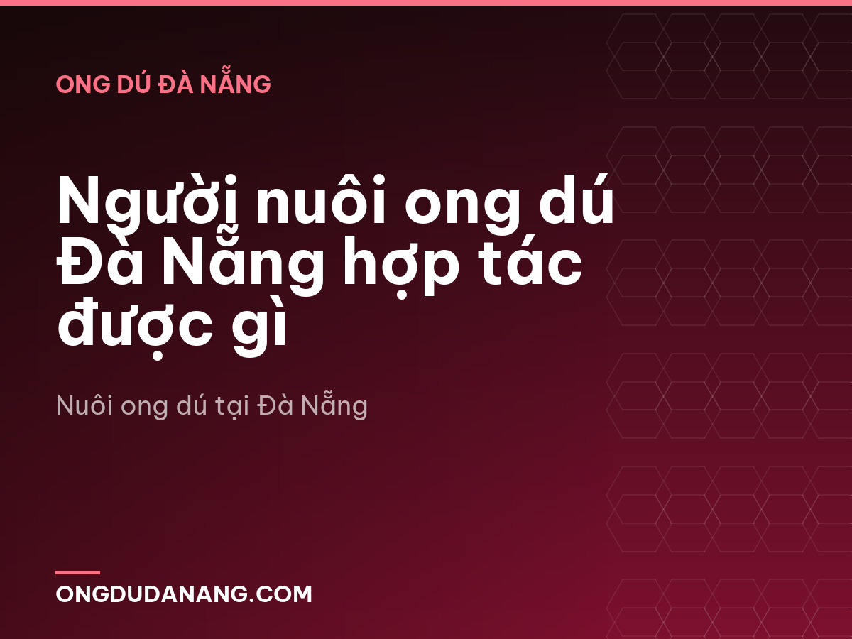 Người nuôi ong dú Đà Nẵng hợp tác được gì