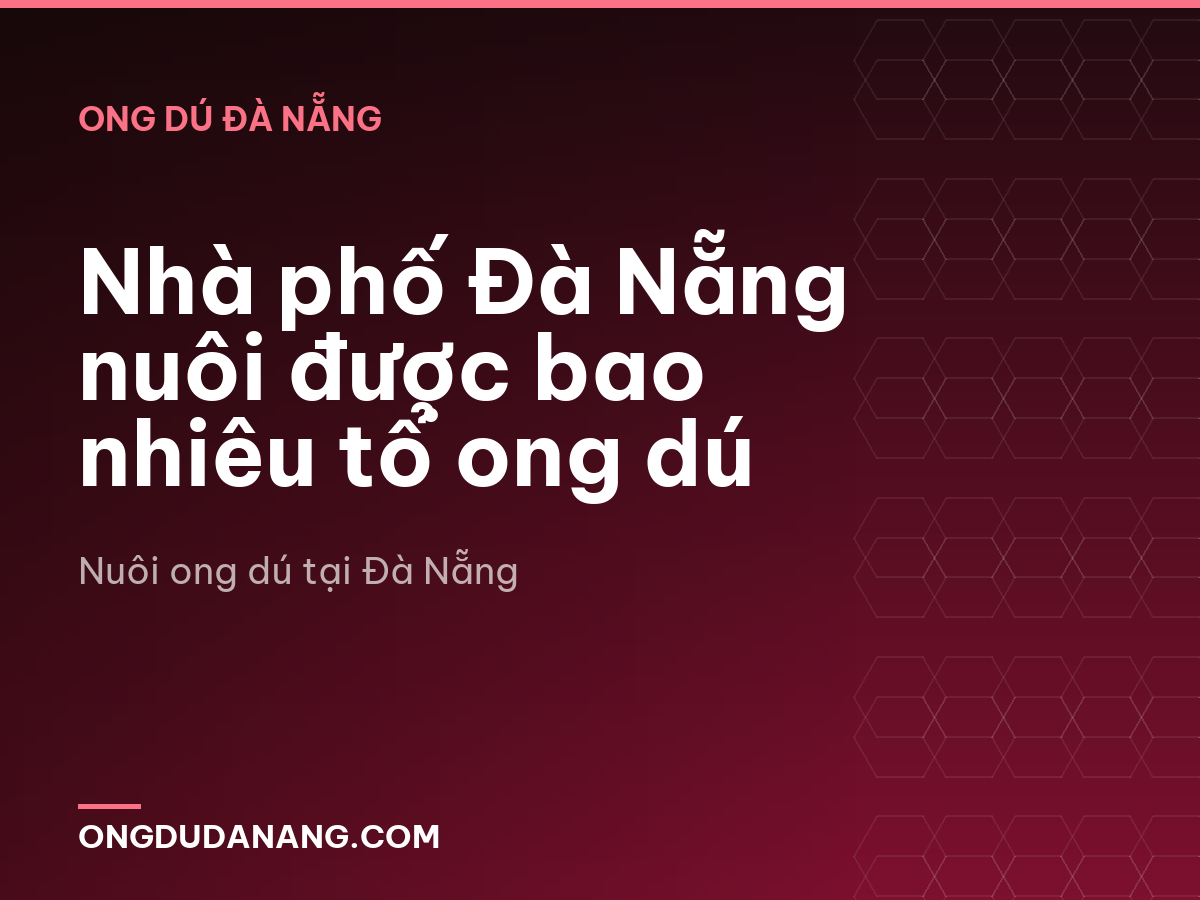 Nhà phố Đà Nẵng nuôi được bao nhiêu tổ ong dú