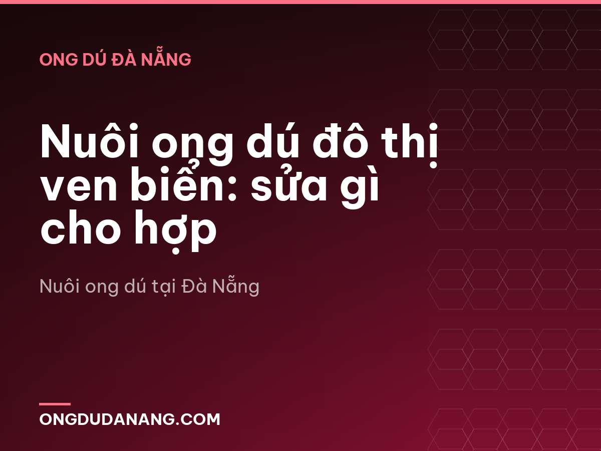 Nuôi ong dú đô thị ven biển: sửa gì cho hợp