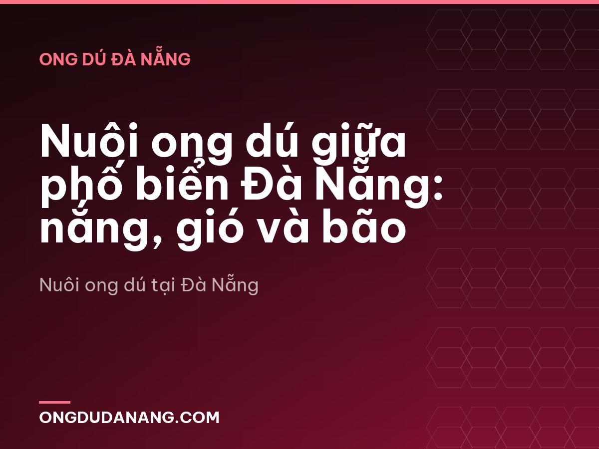 Nuôi ong dú giữa phố biển Đà Nẵng: nắng, gió và bão