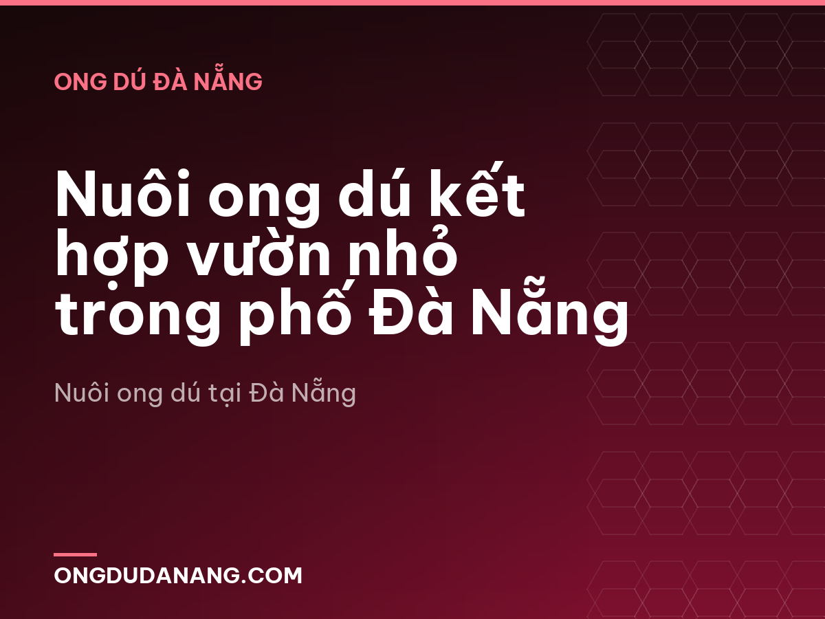 Nuôi ong dú kết hợp vườn nhỏ trong phố Đà Nẵng