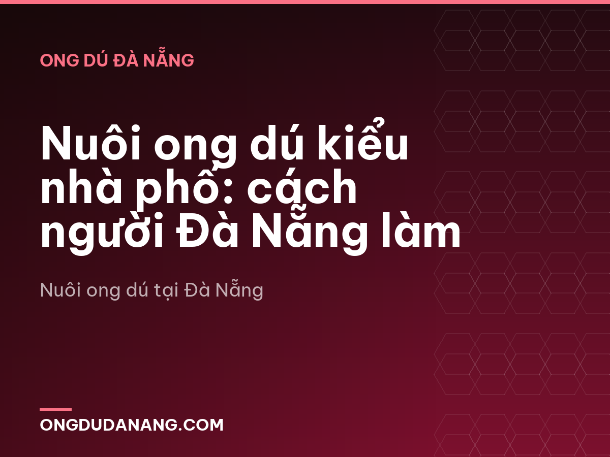 Nuôi ong dú kiểu nhà phố: cách người Đà Nẵng làm