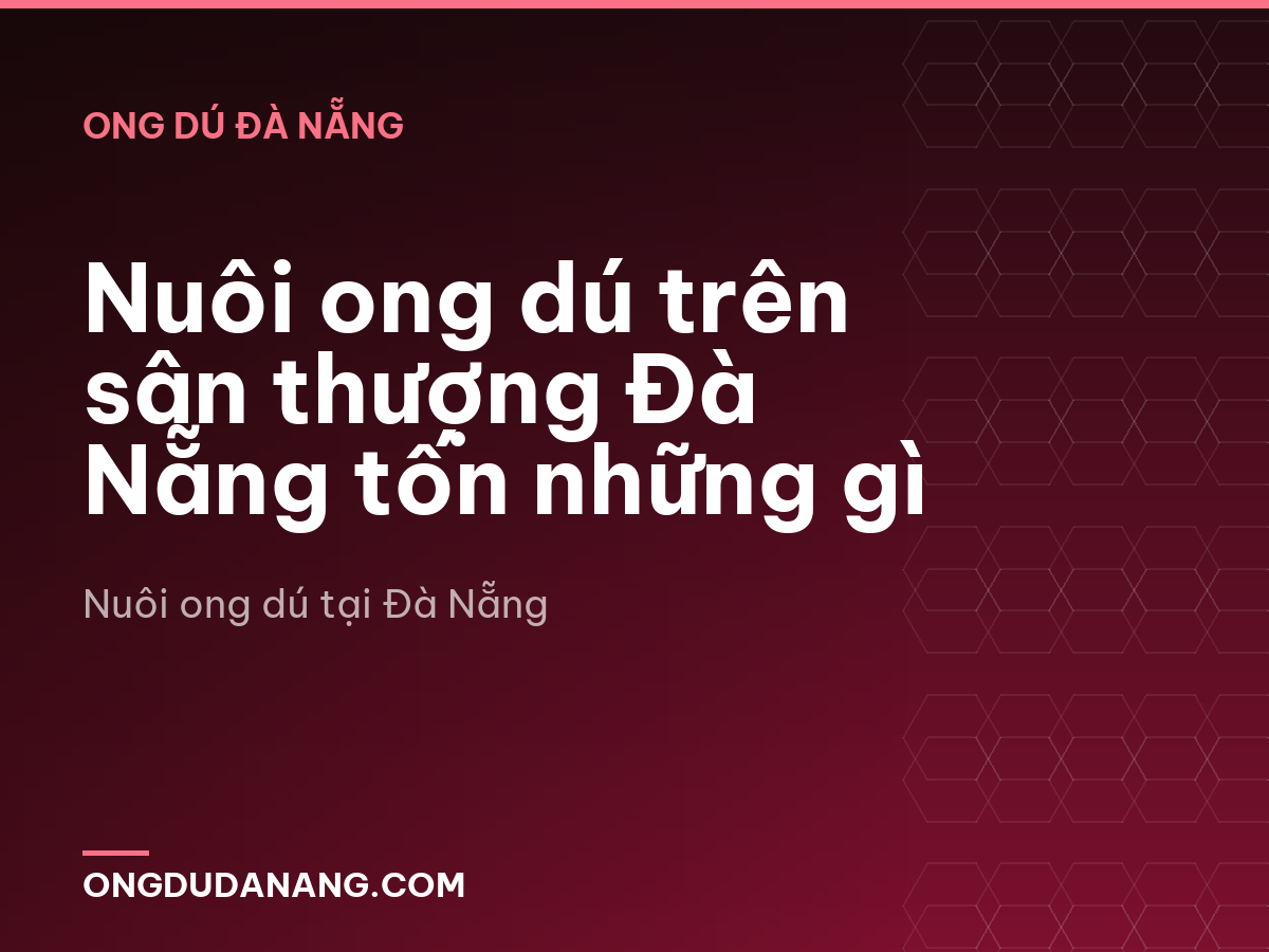 Nuôi ong dú trên sân thượng Đà Nẵng tốn những gì