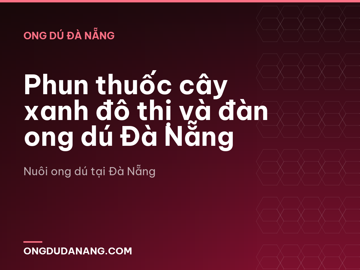 Phun thuốc cây xanh đô thị và đàn ong dú Đà Nẵng