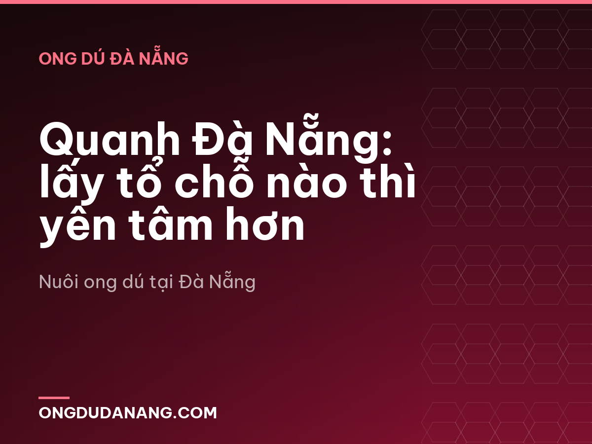Quanh Đà Nẵng: lấy tổ chỗ nào thì yên tâm hơn