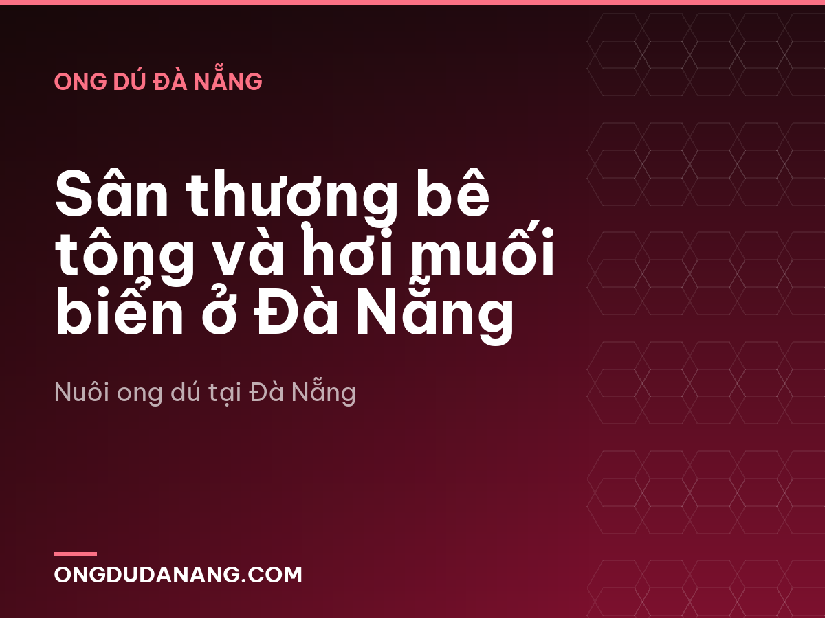 Sân thượng bê tông và hơi muối biển ở Đà Nẵng
