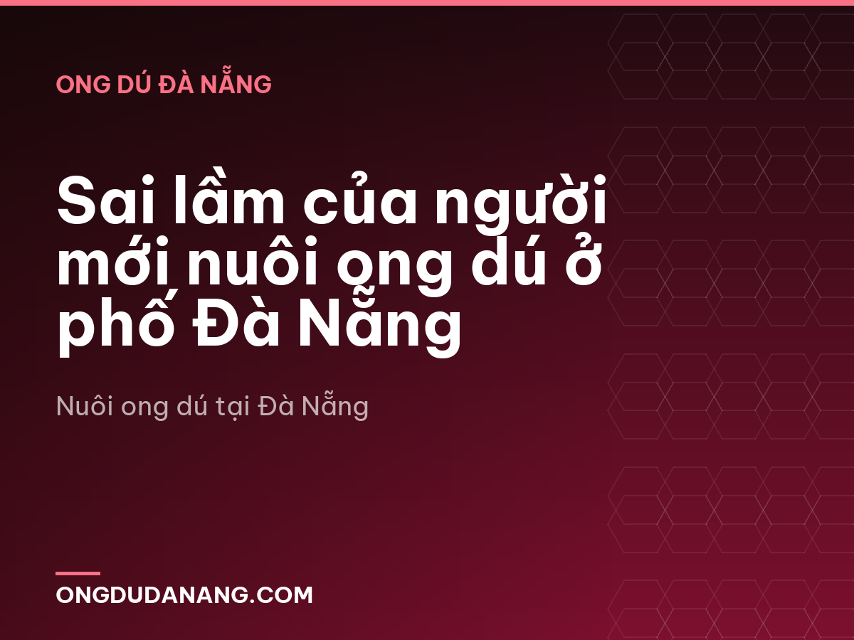 Sai lầm của người mới nuôi ong dú ở phố Đà Nẵng