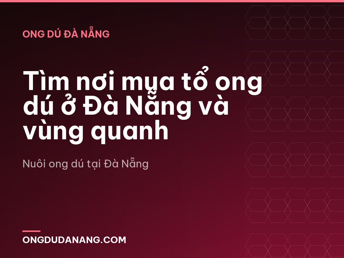 Tìm nơi mua tổ ong dú ở Đà Nẵng và vùng quanh