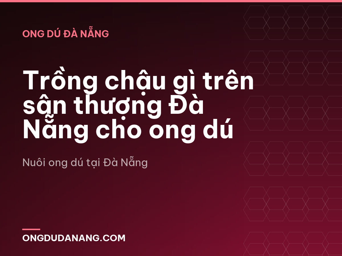 Trồng chậu gì trên sân thượng Đà Nẵng cho ong dú