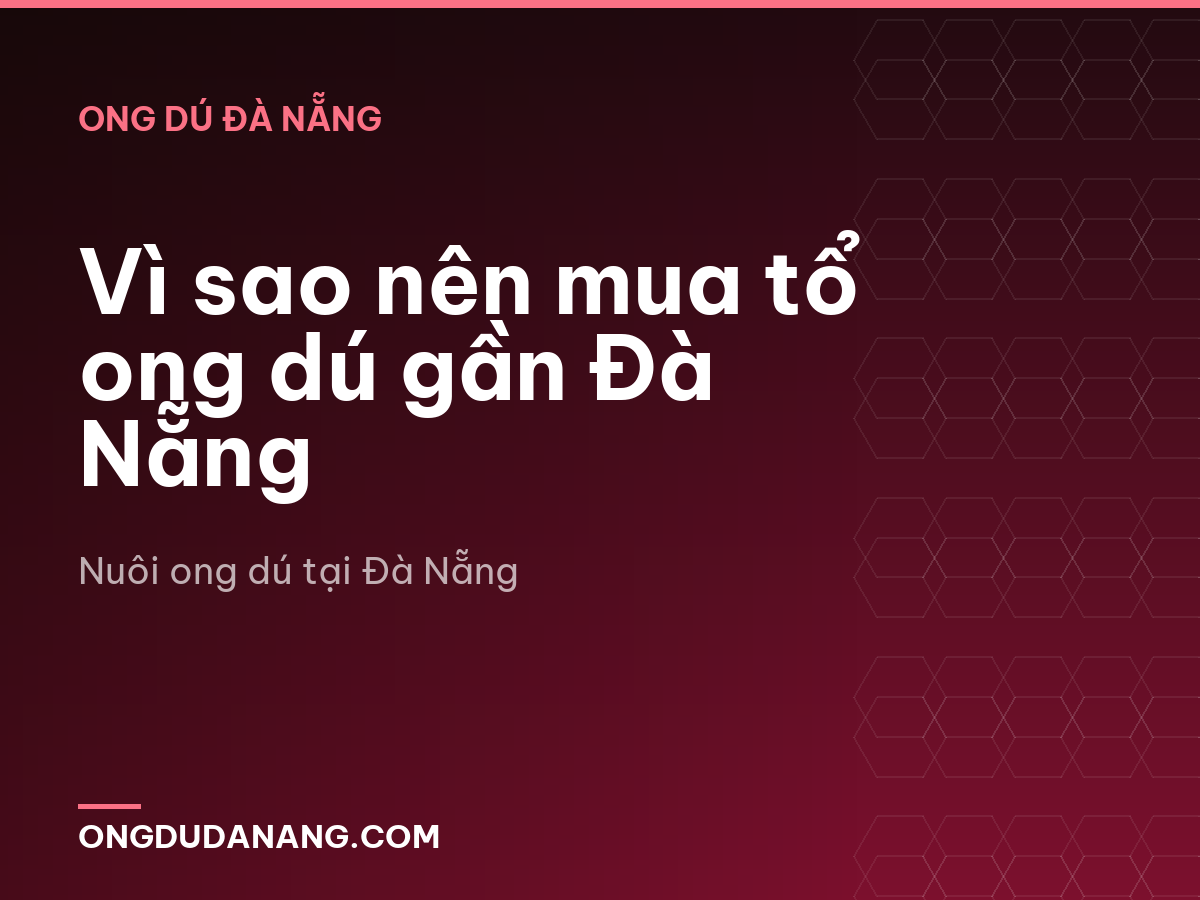 Vì sao nên mua tổ ong dú gần Đà Nẵng